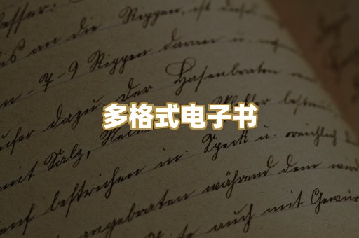 多格式电子书